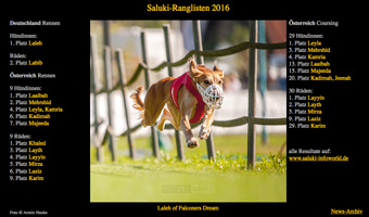 Saluki Rangliste