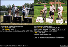 U7B und Lednice