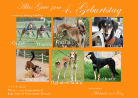 O Geburtstag