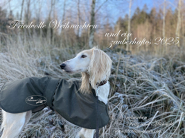 Weihnachten 2024