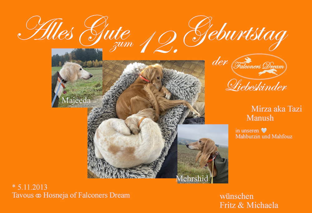 M litter 12th birthday