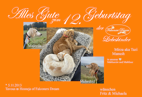 happy birthday M litter