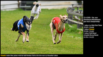 Ozaafar