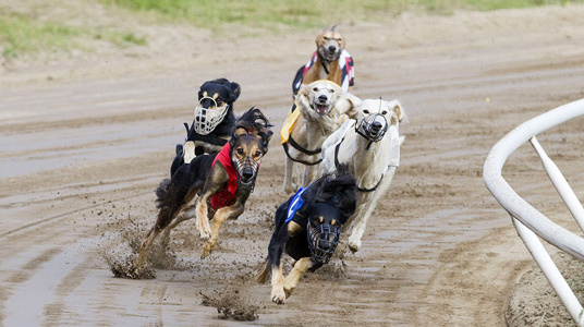 WM Tampere Finale Hndinnen